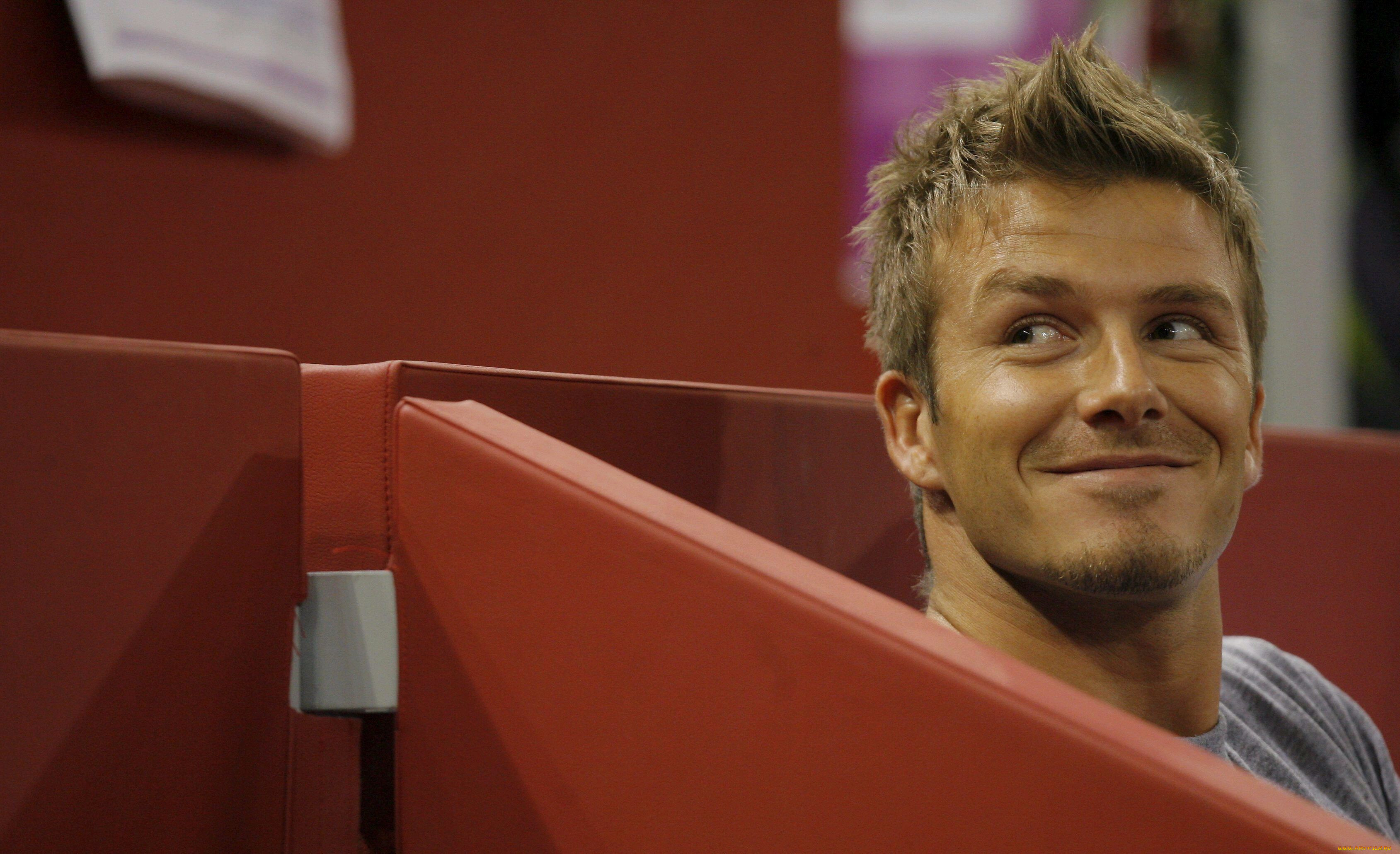 david, beckham, 